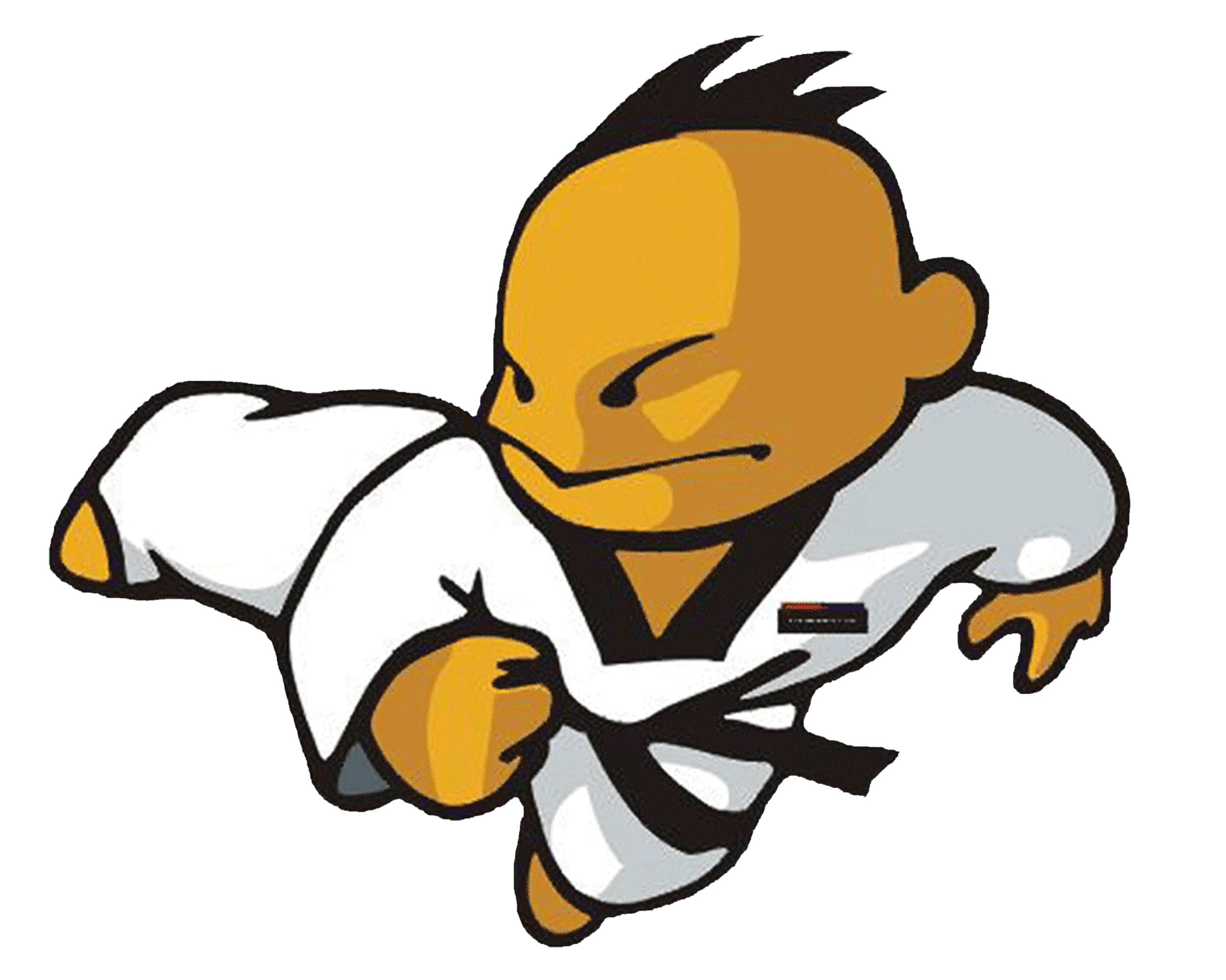taeki flying side kick