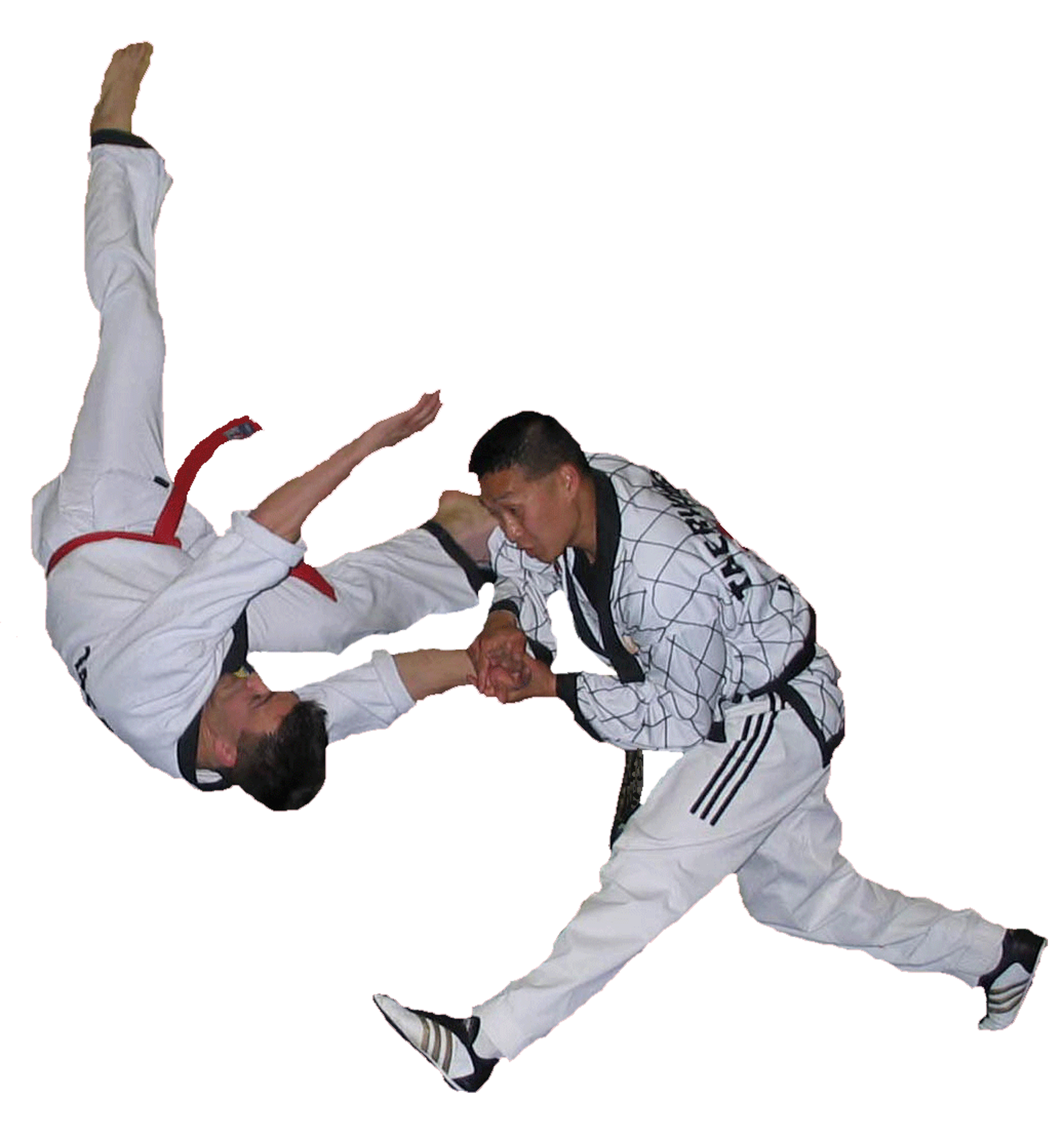 hapkido flip mp & buchel